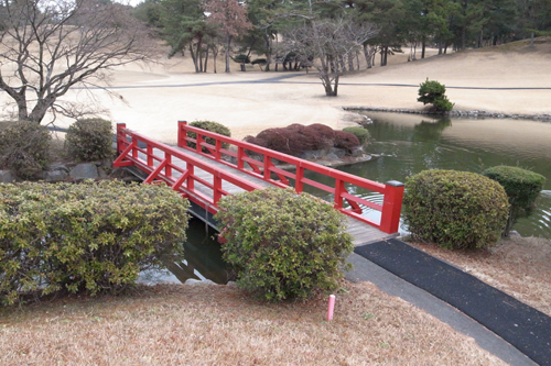 エコアコールウッド経年変化全景