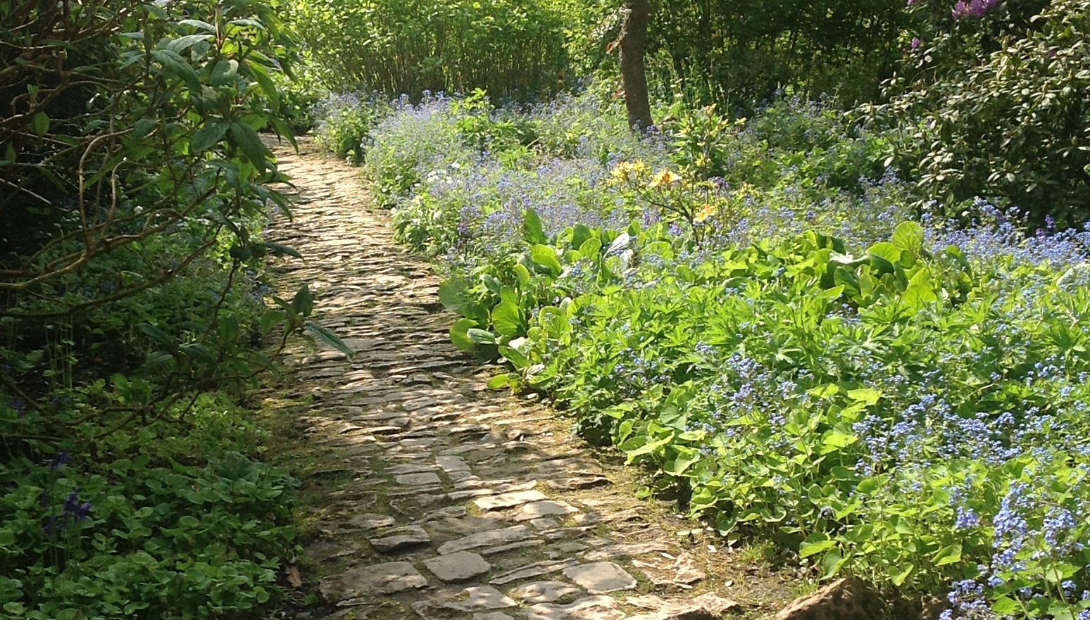 イギリスの庭の石畳 愛知のガーデンデザイン 庭や日記３