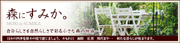 雑木の庭