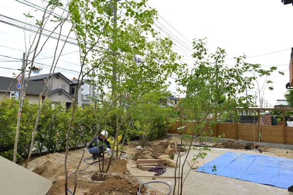 雑木林植え込み