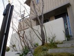 ミサワホーム外構工事｜雑木の庭