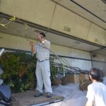 ガーデニングワールドカップ　植物到着