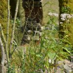 ガーデニングワールドカップ　植栽　花