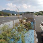 ガーデニングワールドカップ　植栽