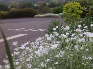 image_4