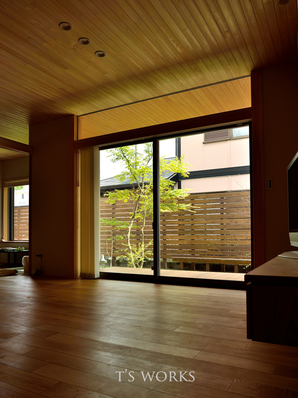 室内から眺める庭