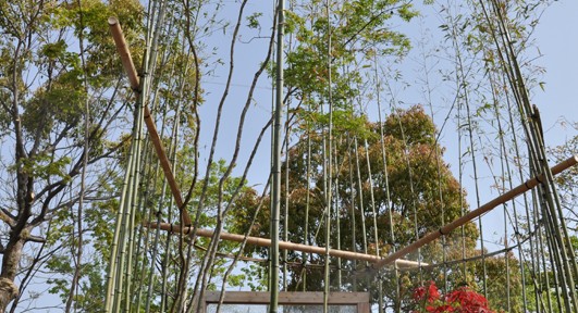 ディスプレイガーデンの作り方｜ショップデザイン名古屋