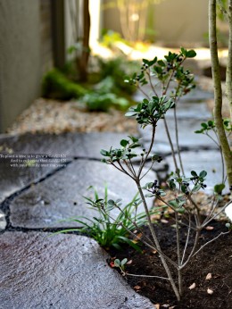 かっこいい庭の作り方 現代と伝統が織りなす風景 愛知の庭 外構デザイン ティーズガーデンスクエア