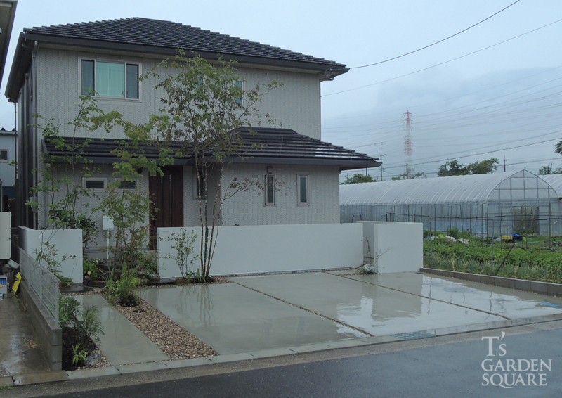 ライトアップ前