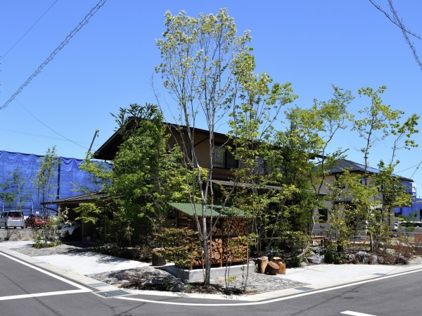 エコ建築の庭