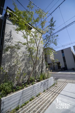 本実型枠の家 モノトーンの建物にあう雑木の庭 愛知の庭 外構デザイン ティーズガーデンスクエア 本実型枠の家 モノトーンの建物にあう雑木の庭 愛知の庭 外構デザイン ティーズガーデンスクエア