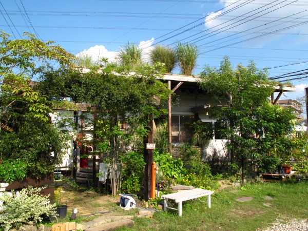 お庭・９月