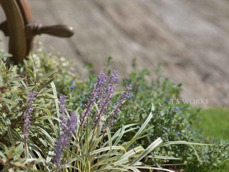 スウェーデンハウスかわいい