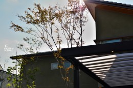 かっこいい庭の作り方 現代と伝統が織りなす風景 愛知の庭 外構デザイン ティーズガーデンスクエア かっこいい庭の作り方 現代と伝統が織りなす風景 愛知の庭 外構デザイン ティーズガーデンスクエア