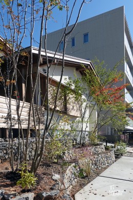 雑木の庭の作り方 美しい里山の風景を 愛知の庭 外構デザイン ティーズガーデンスクエア