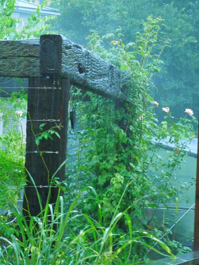 雨天