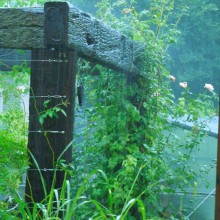 雨天