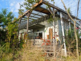 パンパスグラス ９月３０日 愛知の庭 外構デザイン ティーズガーデンスクエア