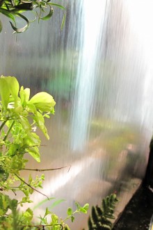 IMG_00194