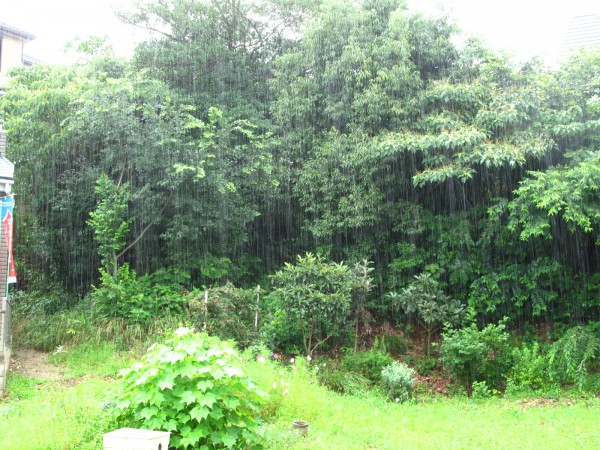 雨降り