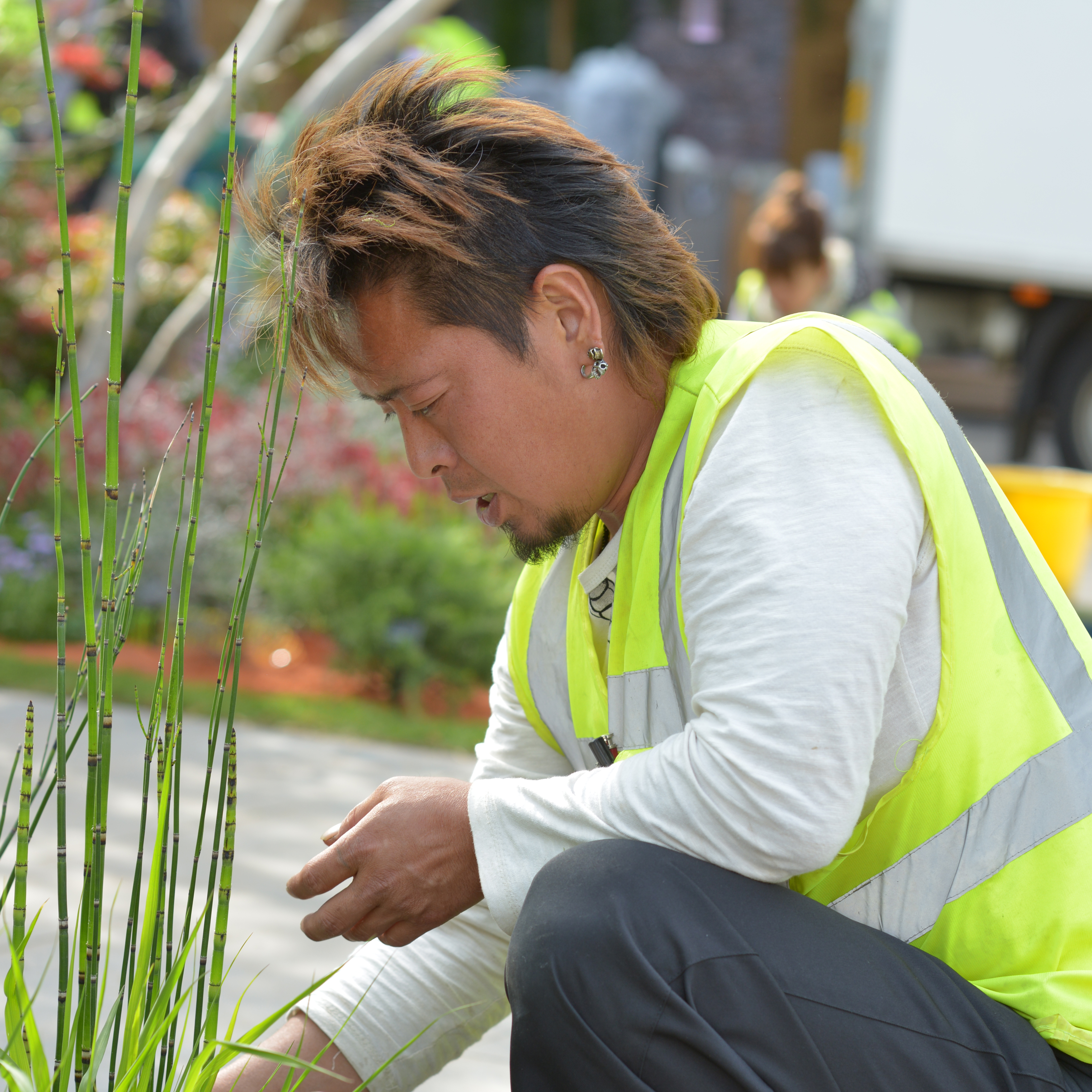 おおはしなおと
