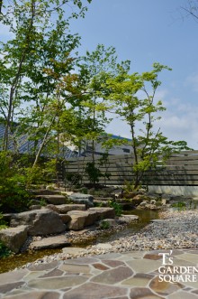 州浜のある雑木林