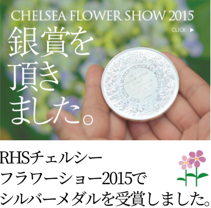 チェルシー奮闘記 2015｜世界選手権へ挑戦