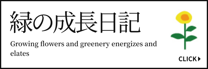 緑の成長日記