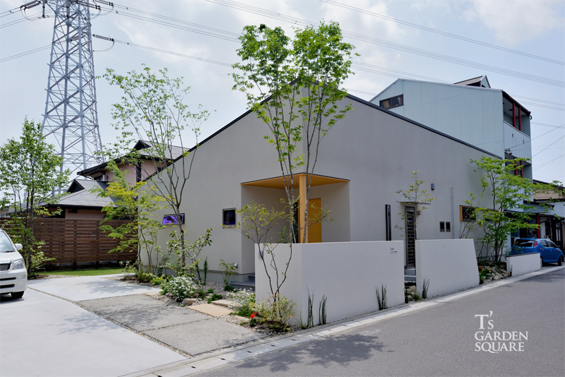 平屋の雑木林