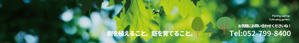 ティーズガーデンスクエア