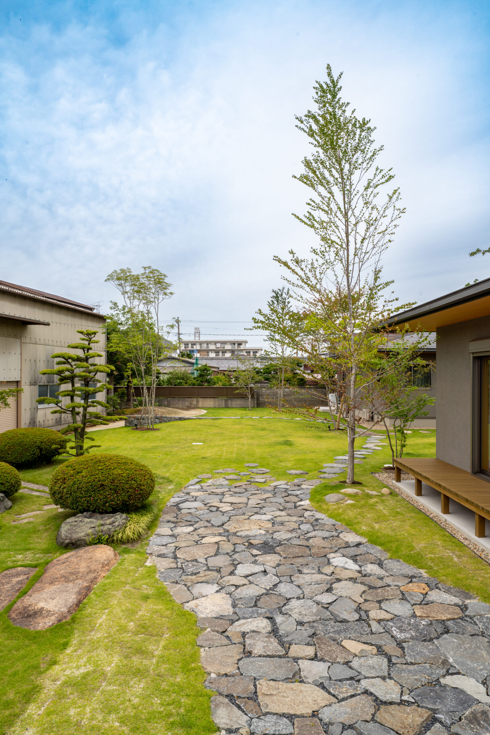 カツラの庭