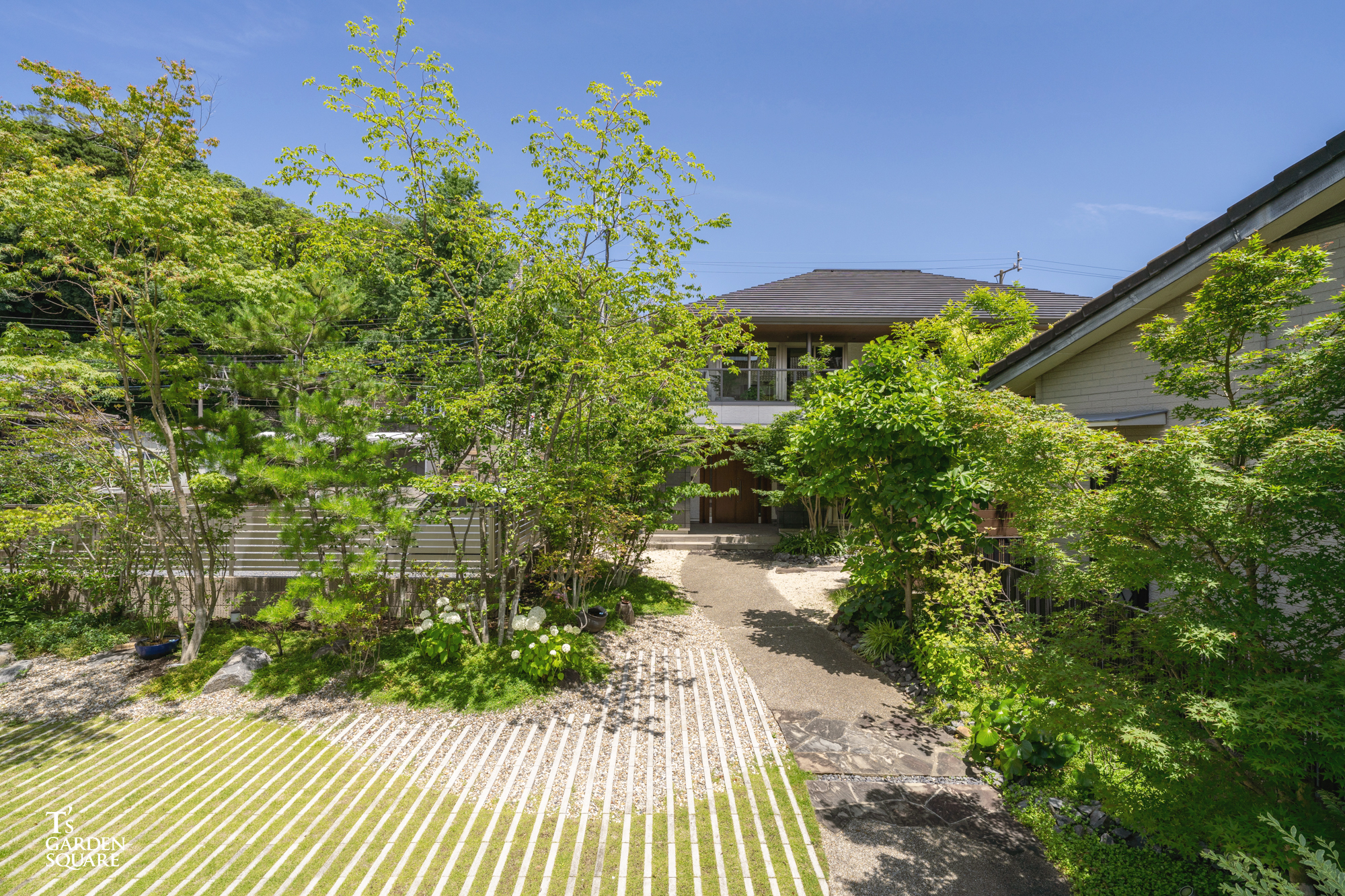 雑木の庭の芝