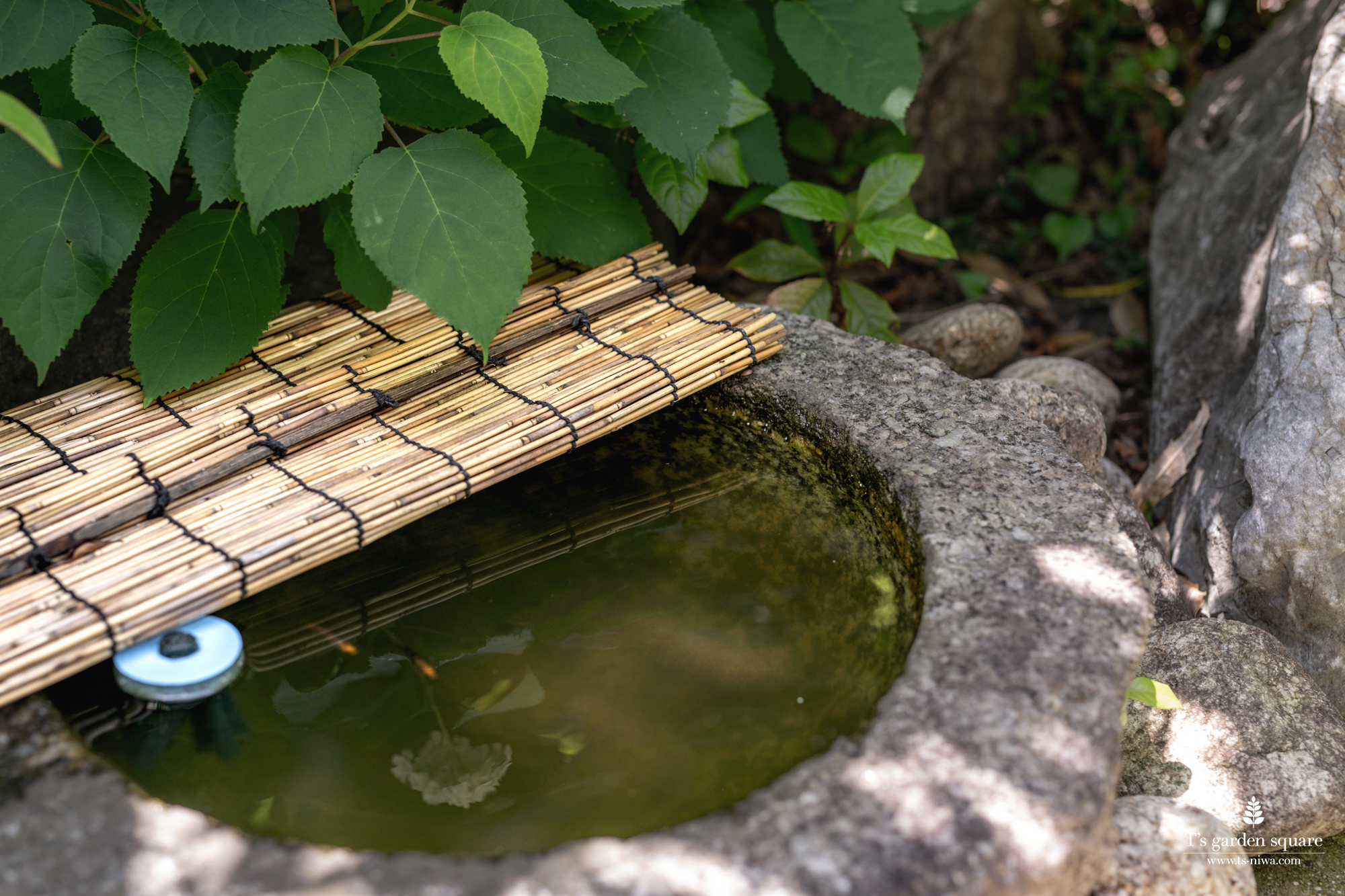 つくばい雑木の庭安らぎ